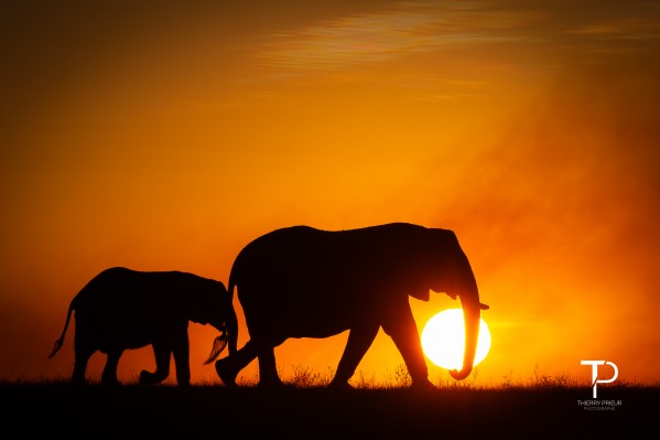 Carrying the Sun by Thierry Prieur Photographie
